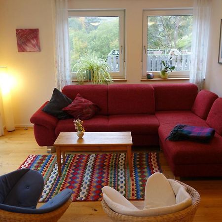 Ferienwohnung Teich 11 Gutenbach エクステリア 写真