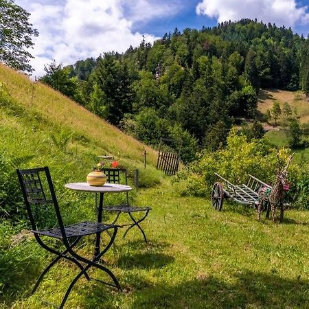 Ferienwohnung Teich 11 Gutenbach エクステリア 写真