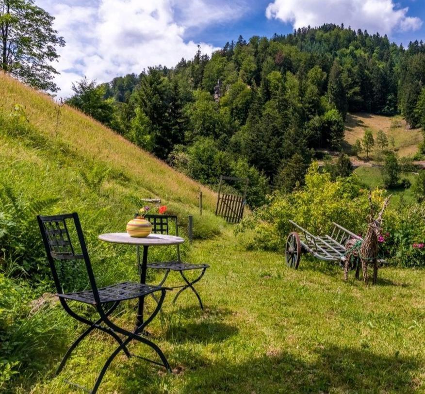 Ferienwohnung Teich 11 Gutenbach エクステリア 写真
